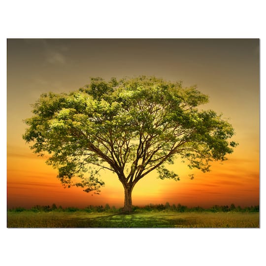 Designart - Green Tree against Setting Sun